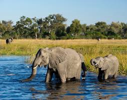 paysage-namibie